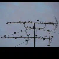نصب انتن و گیرنده ‌براکت تلویزیون در غرب تهران