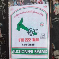 چای چکش سبز اصل
