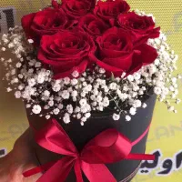 گل طبیعی رز هلندی باکسی فقط شاخه ای ۲۲ تومن