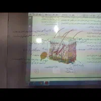 تدریس زیست دبیرستان