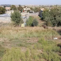 زمین فروشی در کلوکند|فروش زمین و ملک کلنگی|القجر, |دیوار