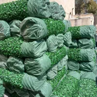 فنس چمنی|خدمات باغبانی و درختکاری|هشتگرد, کوی بهروز|دیوار