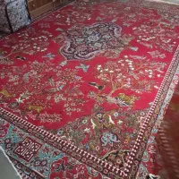 فرش|فرش|دامغان, |دیوار