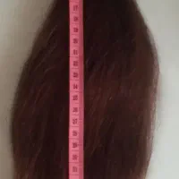 فروش مو پر پشت