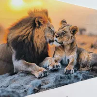 عکس چاپ شده با مخمل / ارزان|تابلو، نقاشی، عکس|تربت‌حیدریه, کلاته توکلی|دیوار