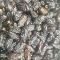 خرما تازه  از نخلستان های بلوچستان ارسال به تهران|خوردنی و آشامیدنی|تهران, گلستان (شهرک راه آهن)|دیوار