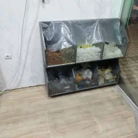 واگذاری  اجناس عطاری|فروشگاه و مغازه|رباط‌کریم, رباط‌کریم|دیوار