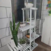 استند وگل وگلدان|گل و گیاه طبیعی|سرپل ذهاب, |دیوار