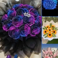 تخفیف ویژهه.بهترین کادو