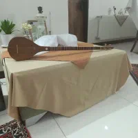 سه تار حرفه ای