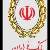 وام شما را ضمانت میکنم چک هم دارم