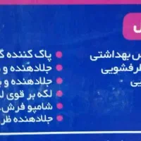 شوینده همه کاره بودیت|مواد شوینده و دستمال کاغذی|یزد, |دیوار