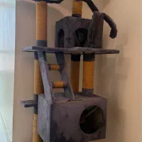درخت گربه ( اسکرچر گربه )