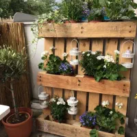 هرس وسمپا‌شی درختان