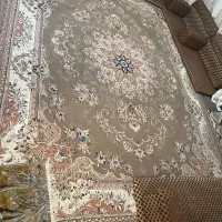 قالی ۵۰۰ شانه