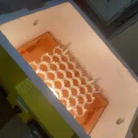 قیمت آگهی ۲ میلیون|لوازم جانبی حیوانات|شاهین دژ, |دیوار