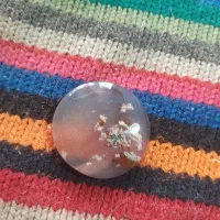 شجر شاخه گل بهاری