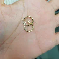 گوشواره گمشده