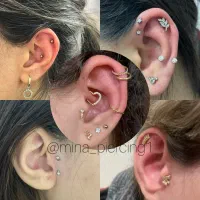 آموزش و خدمات پیرسینگ و میکرودرمال و چال لپ