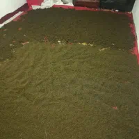 سبزی قرمه سرخ شد وخشک