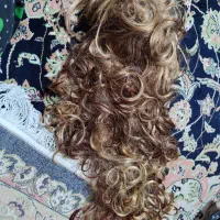 دو عدد کلاه گیس|آرایشی، بهداشتی، درمانی|شیراز, دکتر حسابی|دیوار