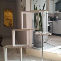 باکس دکوری|کتابخانه، شلف، قفسههای دیواری|محمدیه-قزوین, |دیوار