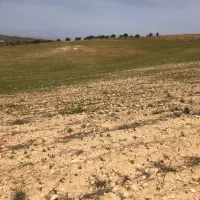 زمین 30هکتاری بخش ارژن