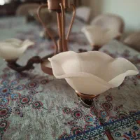 لوستر یه شاخه