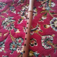 نی فلوت سالم