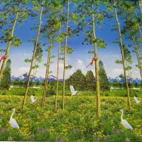 پرده تصویری اپن