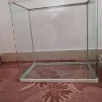 اکواریوم شیشه خم
