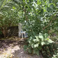 فروش ویلایی|فروش خانه و ویلا|جهرم, |دیوار