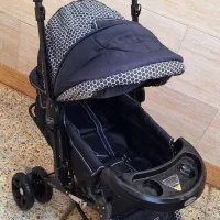 کالسکه دلیجان