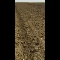 فروش زمین کشاورزی ویک منزل در روستا