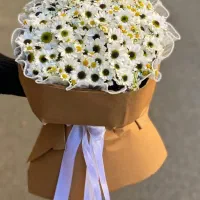 گل طبیعی و روبانی|گل مصنوعی|بروجن, |دیوار