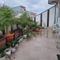 گلسار-100-متری