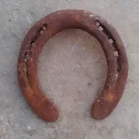 نعل اسب