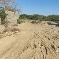 زمین واقع در روستا تیس