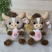 دنیای  عروسکهای  ترند و جدید در تکاب