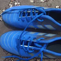 کفش ورزشی|تجهیزات ورزشی|رشت, جانبازان|دیوار