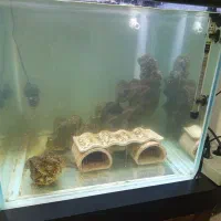 آکواریوم آب شور|ماهی|اصفهان, شفق|دیوار