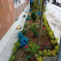 خدمات باغبانی گلکاری هرس کاری تعویض خاک گلدان|خدمات باغبانی و درختکاری|تهران, یوسف‌آباد|دیوار