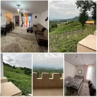 اجاره ویلا مجرد و خانواده