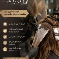 دستیار رنگ و مش
