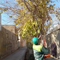 باغبانی وهرس کاری وغیره