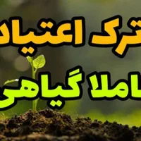 ترک اعتیاد کاملا گیاهی و تضمینی بدون درد و خماری|خدمات آرایشگری و زیبایی|یزد, |دیوار