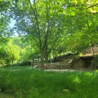 باغ-کهکران