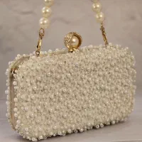 کیف های مجلسی شیک دستی|کیف، کفش، کمربند|سلماس, |دیوار