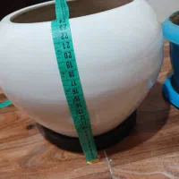 گلدان سرامیکی و پلاستیکی|گل و گیاه طبیعی|هشتگرد, فاز ۲ مهستان|دیوار