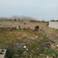 زمین مسکونی 430متری کاسبی